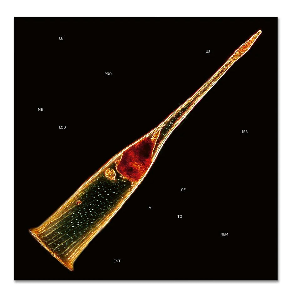 LEPROUS // MELODIES OF ATONEMENT - CD