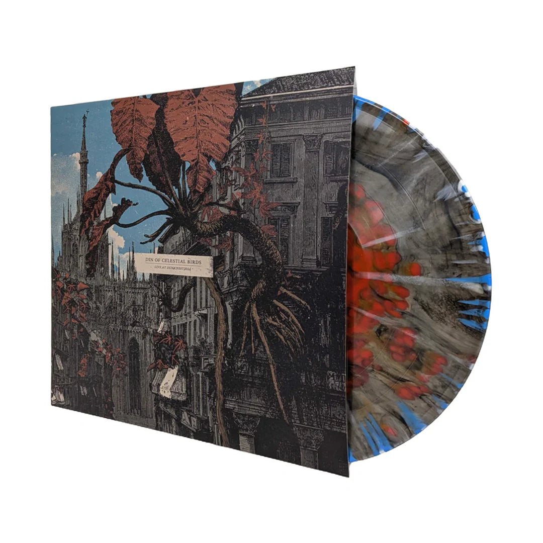 DIN OF CELESTIAL BIRDS // LIVE AT DUNK!FEST 2024 - LTD. EDITION ENGLISH ROSE VINYL (LP)