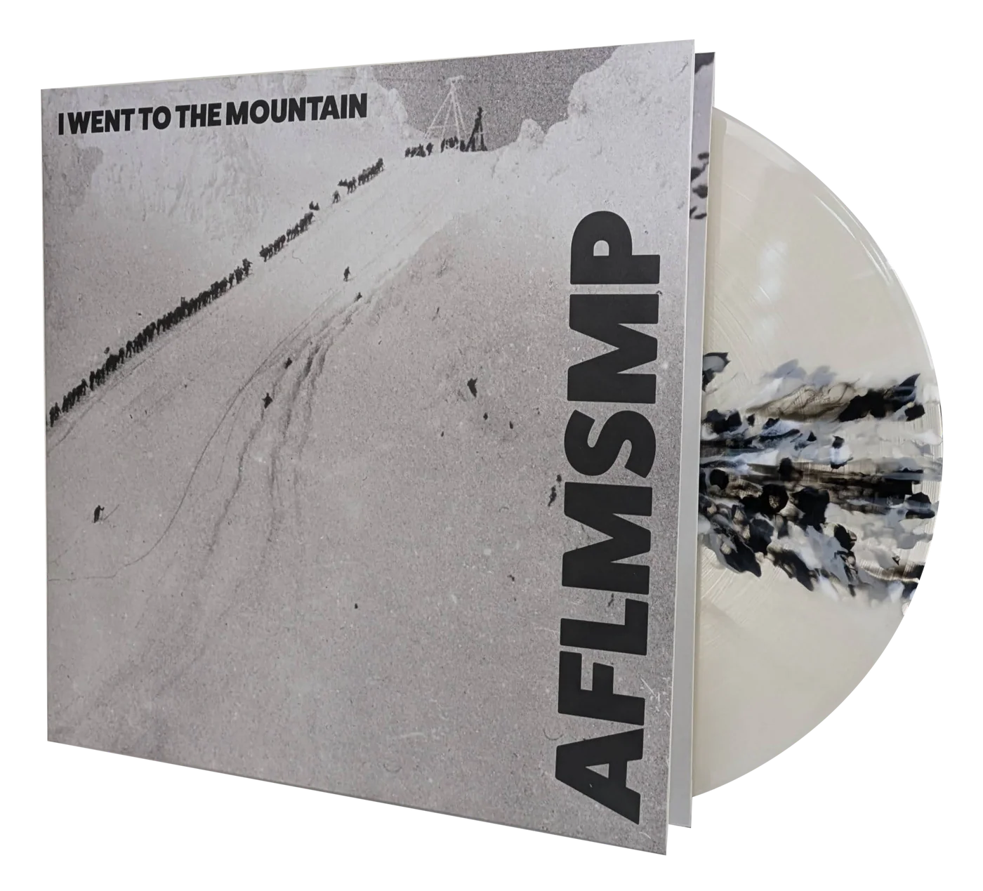 AM FOST LA MUNTE ȘI MI-A PLĂCUT // I WENT TO THE MOUNTAIN - LTD. EDITION 'WE GAVE OURSELVES TO' VINYL (LP)