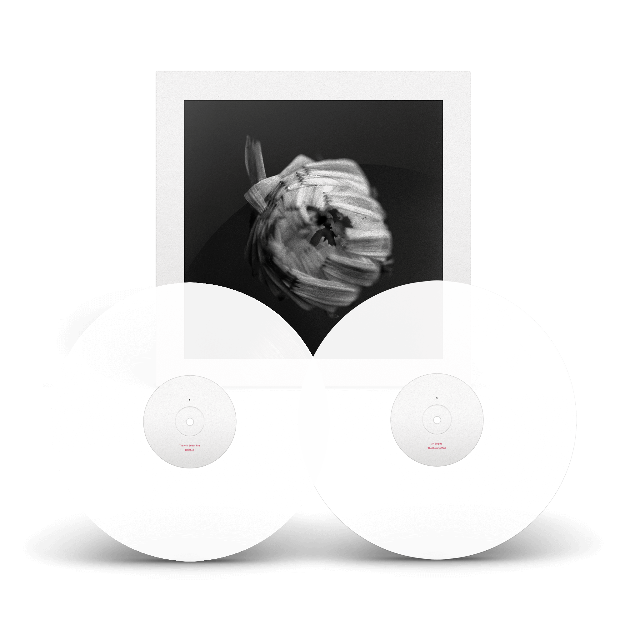 A SWARM OF THE SUN // AN EMPIRE - LTD. TRANSPARENT WHITE EDITION VINYL (2LP)