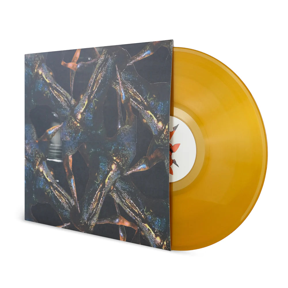 DUSTBUG // UNCARE & FLOAT - LTD. TRANSPARENT ORANGE (LP)