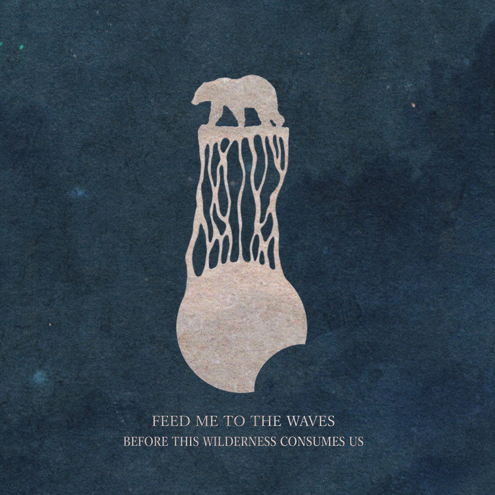 FEED ME TO THE WAVES // BEFORE THE WILDERNESS CONSUMES US - VINYL (LP)