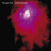 PORCUPINE TREE // UP THE DOWNSTAIR - CD